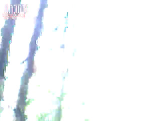 on3810