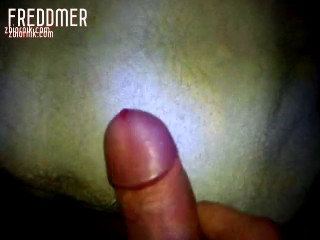 Freddmer