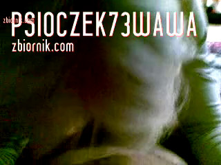 psioczek73wawa