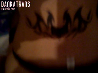 dankatrans