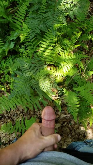 IMG_3172.mp4