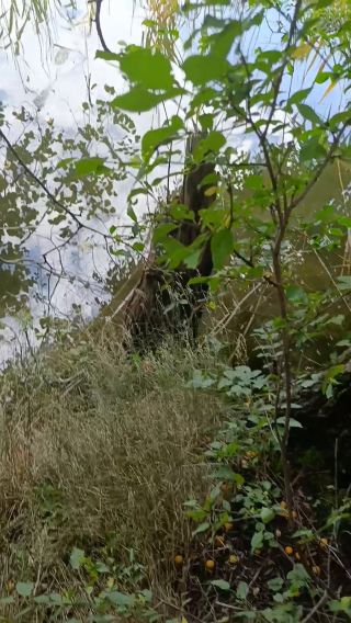 VID_20250720013652.mp4