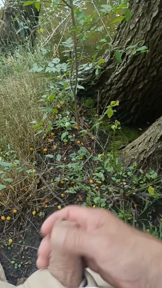 VID_20250720013652.mp4