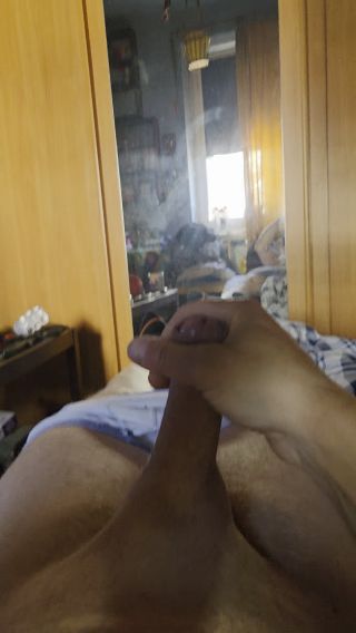 TomekMisiek12345