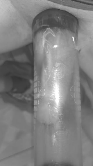 VID_20260429_170523.mp4