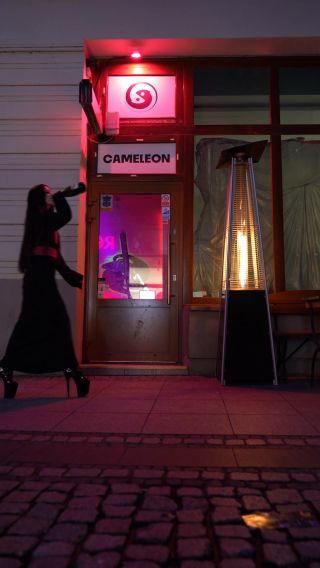 LiveCameleon