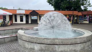 IMG_7626.mov