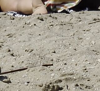 Fkk Strand