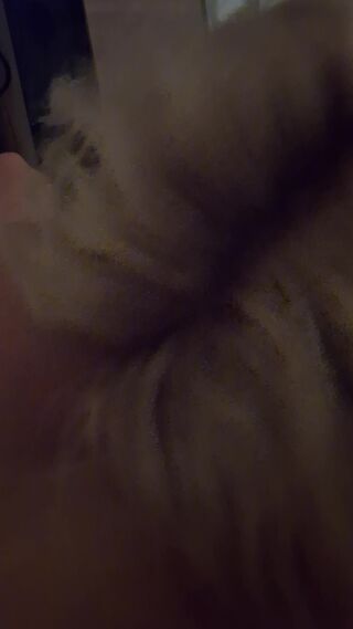20250401_213203.mp4