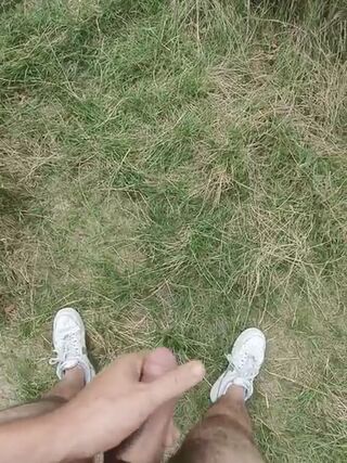 LIVE - 2026-07-29 14:11