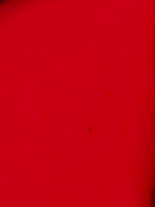 aa2dba6b-601e-41f6-9a48-9c719750c83e.mp4