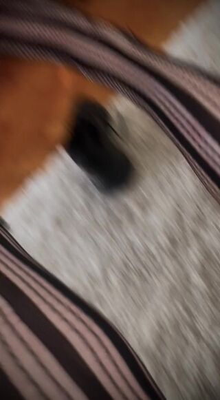 RhejaCD
