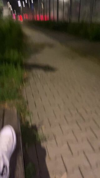 NAWERYFIKACJEzNIM
