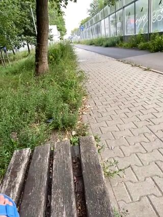 LIVE - 2026-08-28 17:58