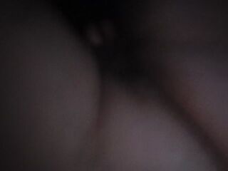 LIVE - 2026-10-15 04:41